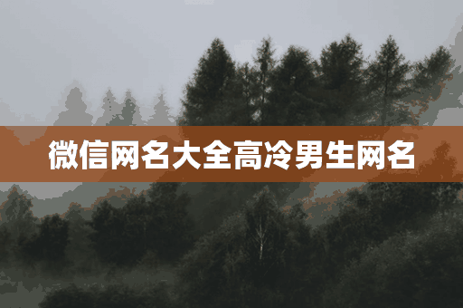 微信网名大全高冷男生网名(微信网名大全高冷男生网名霸气)